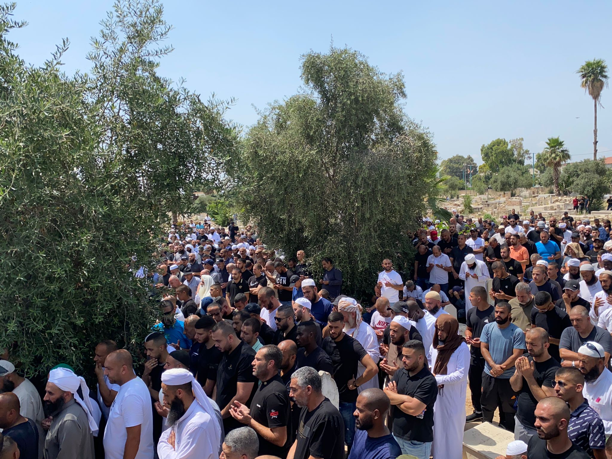 WhatsApp Image 2022-06-17 at 2.44.17 PM (1).jpeg